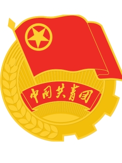 共青团柳州市委员会